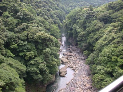 DSCN3786.jpg
