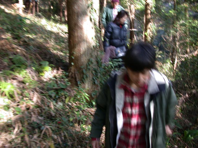 DSCN4899.jpg
