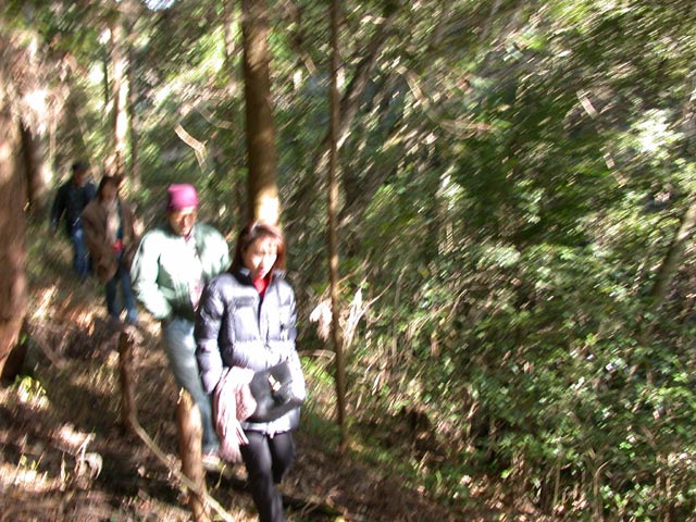 DSCN4900.jpg