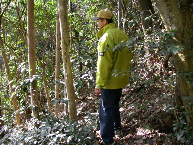 DSCN4902.jpg
