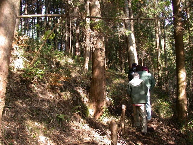 DSCN4903.jpg