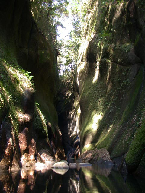DSCN4905.jpg