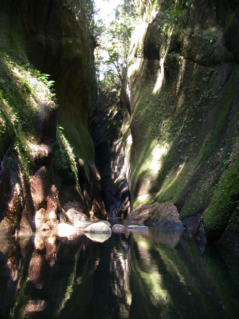 DSCN4906.jpg