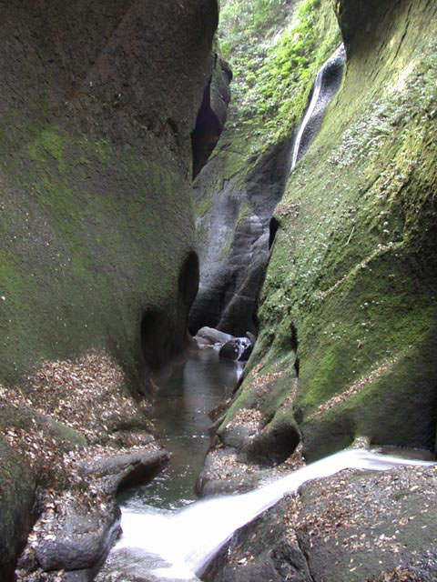 DSCN4907.jpg