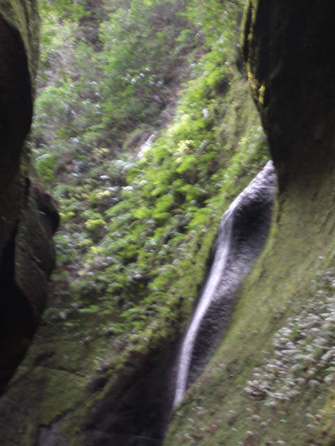 DSCN4909.jpg
