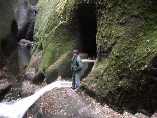DSCN4911.jpg