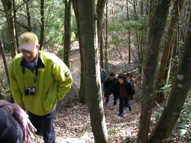 DSCN4917.jpg