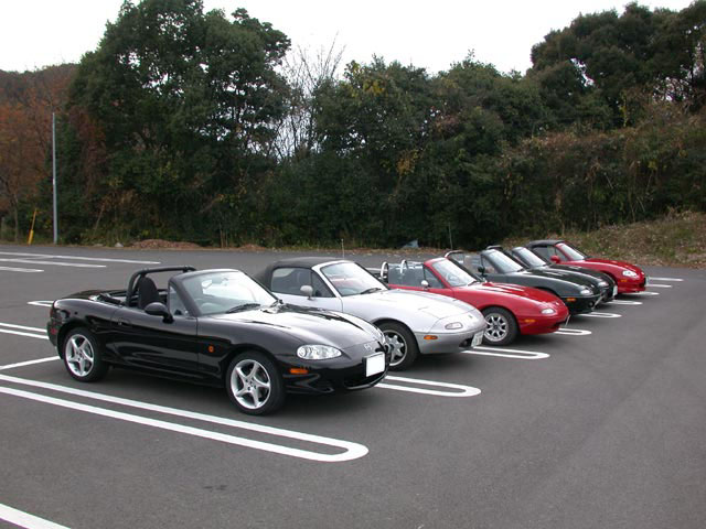 DSCN4931.jpg