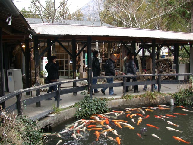 DSCN4957.jpg