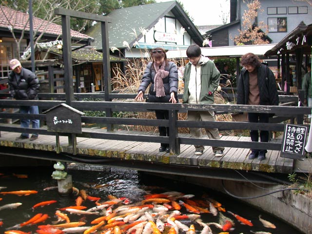 DSCN4958.jpg