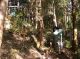 DSCN4903.jpg