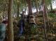 DSCN4904.jpg