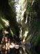 DSCN4905.jpg
