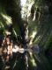 DSCN4906.jpg