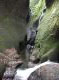 DSCN4907.jpg