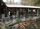 DSCN4957.jpg