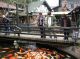 DSCN4958.jpg