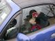DSCN5320.jpg