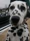 DSCN5323.jpg