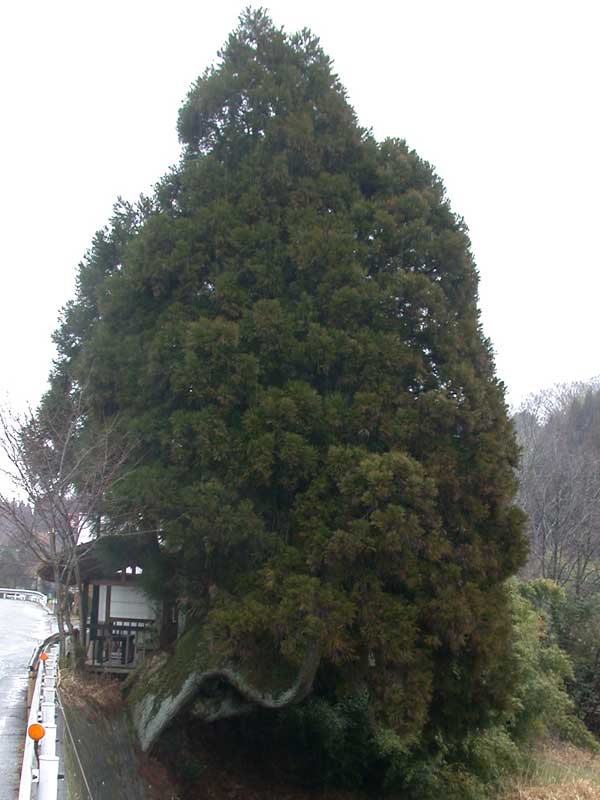 DSCN5411.JPG
