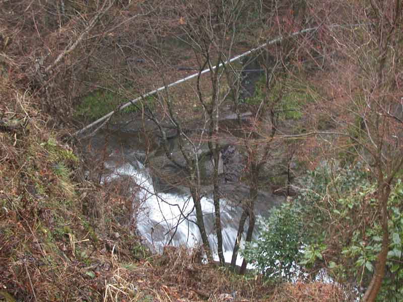 DSCN5413.JPG