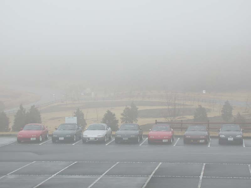 DSCN5460.JPG
