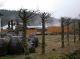 DSCN5415.JPG