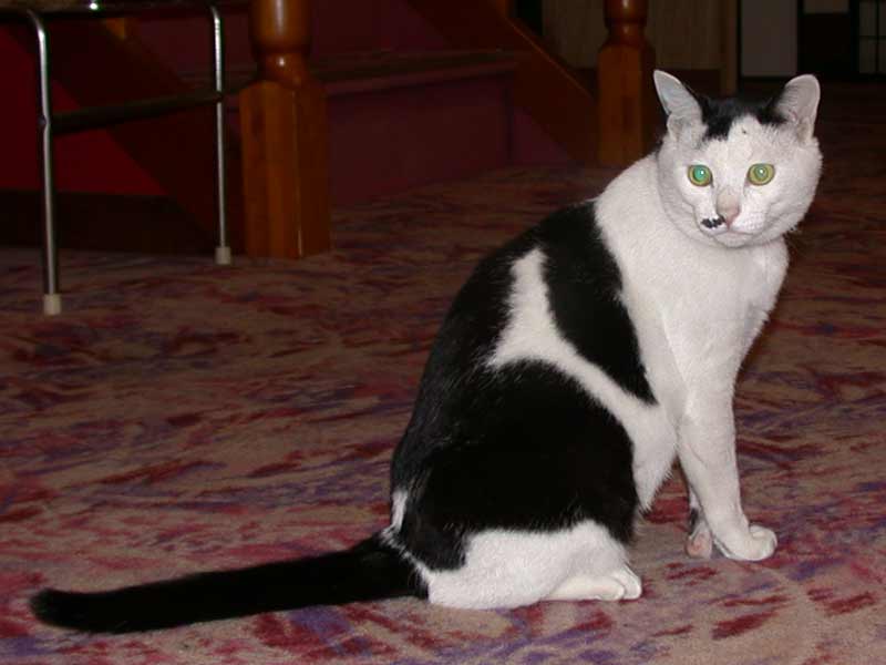 DSCN6276.jpg