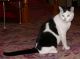 DSCN6276.jpg