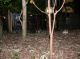 DSCN6280.jpg
