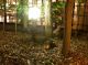 DSCN6281.jpg