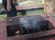 DSCN7209.jpg