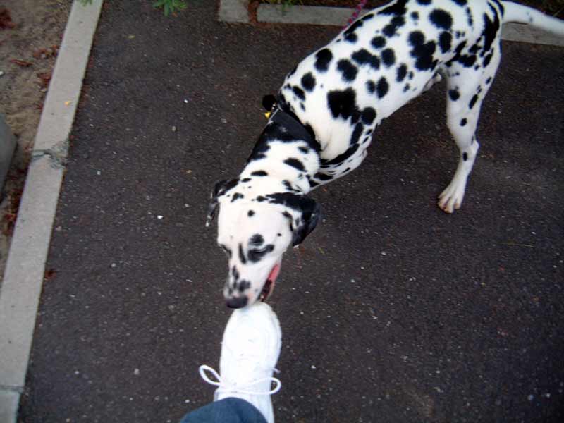 DSCF2067.JPG