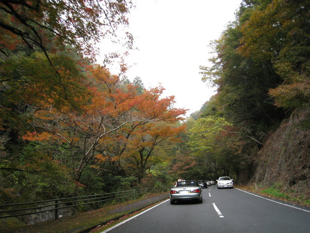 img0005.jpg