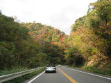 img0003.jpg