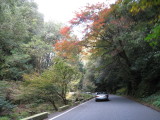 img0004.jpg