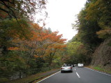 img0005.jpg