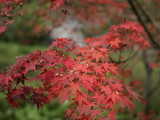 img0010.jpg